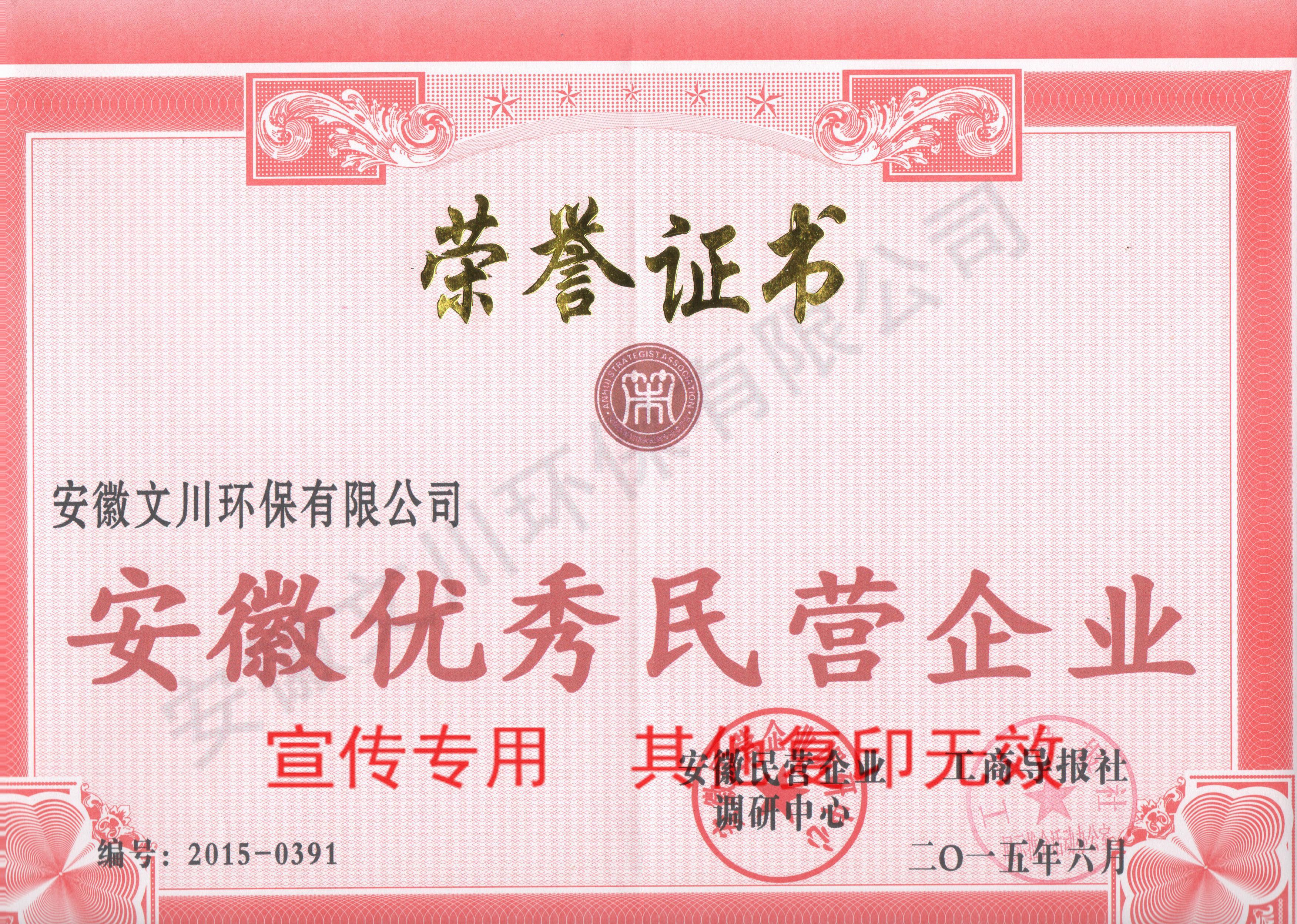 安徽优秀民营企业